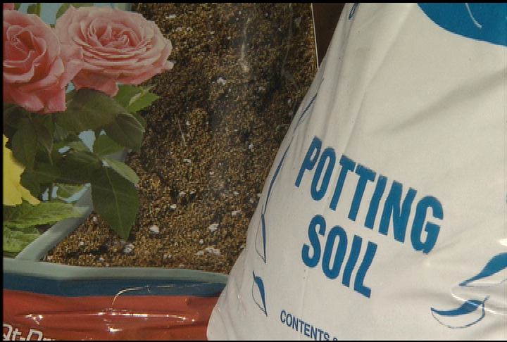 Choosing the right potting soils