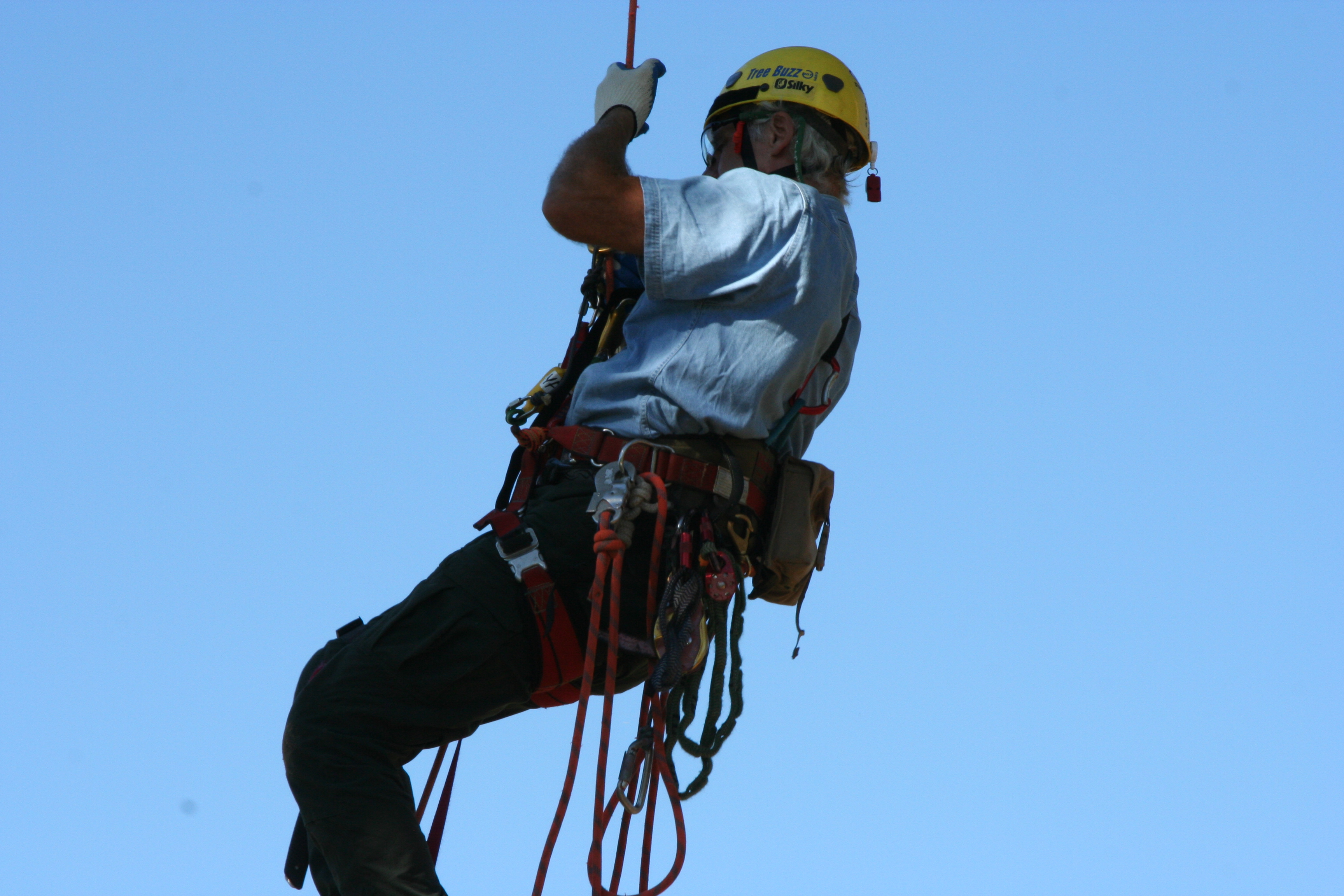 2024 Arborist CEU Sessions