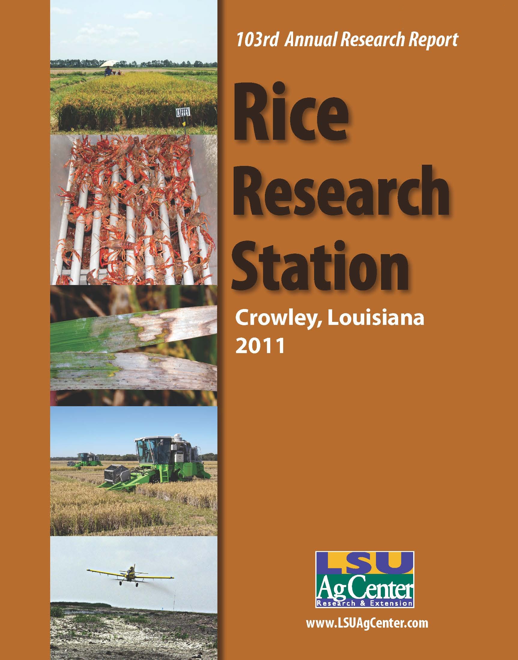2011 Rice Research Annual Report