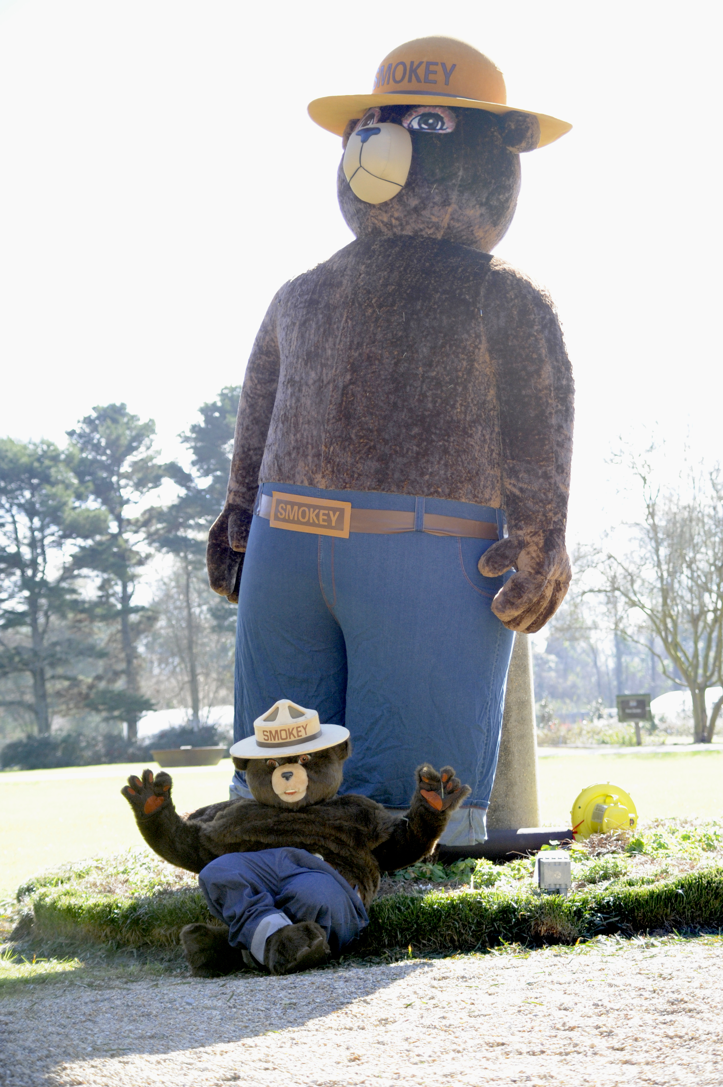 Smokey Bear
