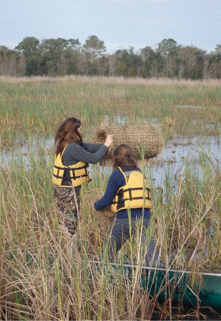 Fall2016p15duckhouse.jpg thumbnail
