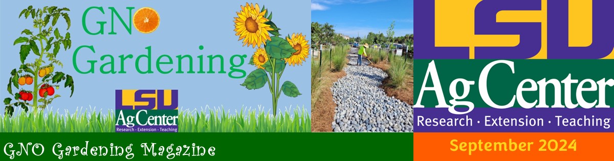 GNO Gardening Magazine - September 2024
