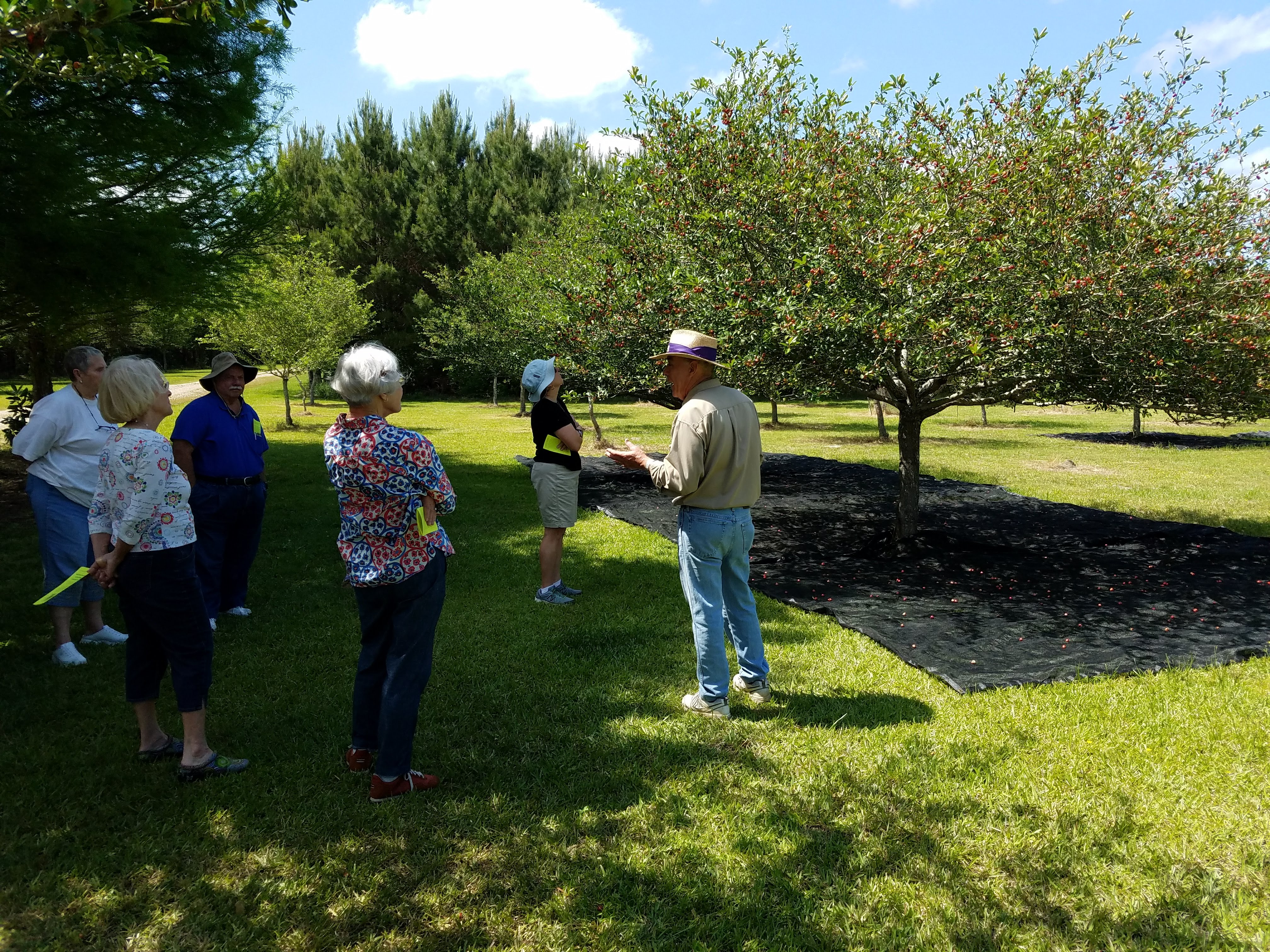 Lynnberry Farms