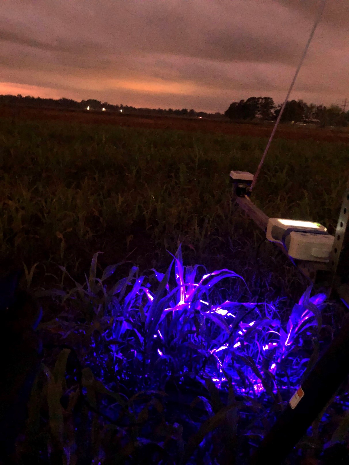 Third digital agriculture conference set for Jan. 25 in Alexandria 