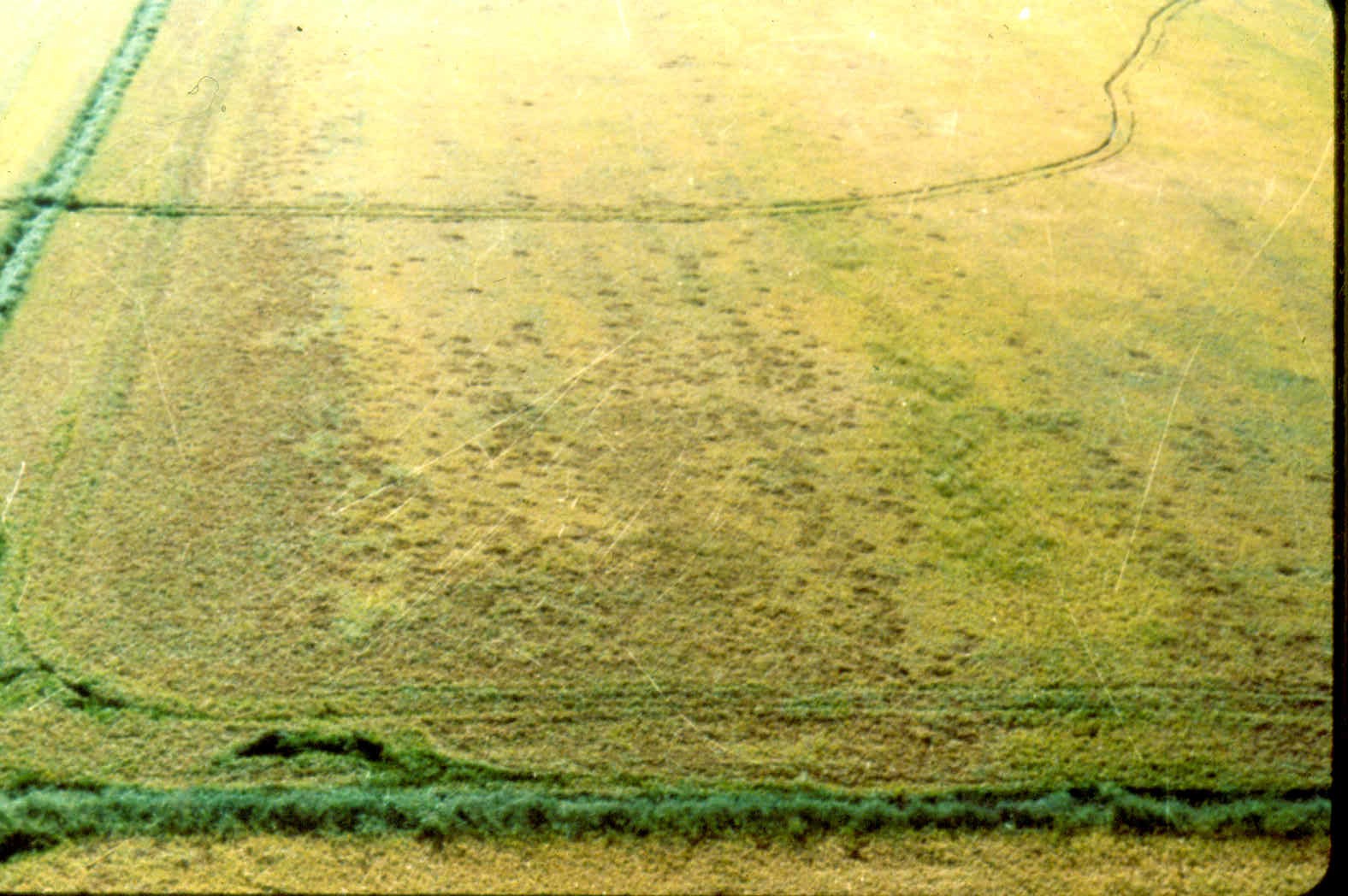 Windblown Distribution of Floating Inoculum