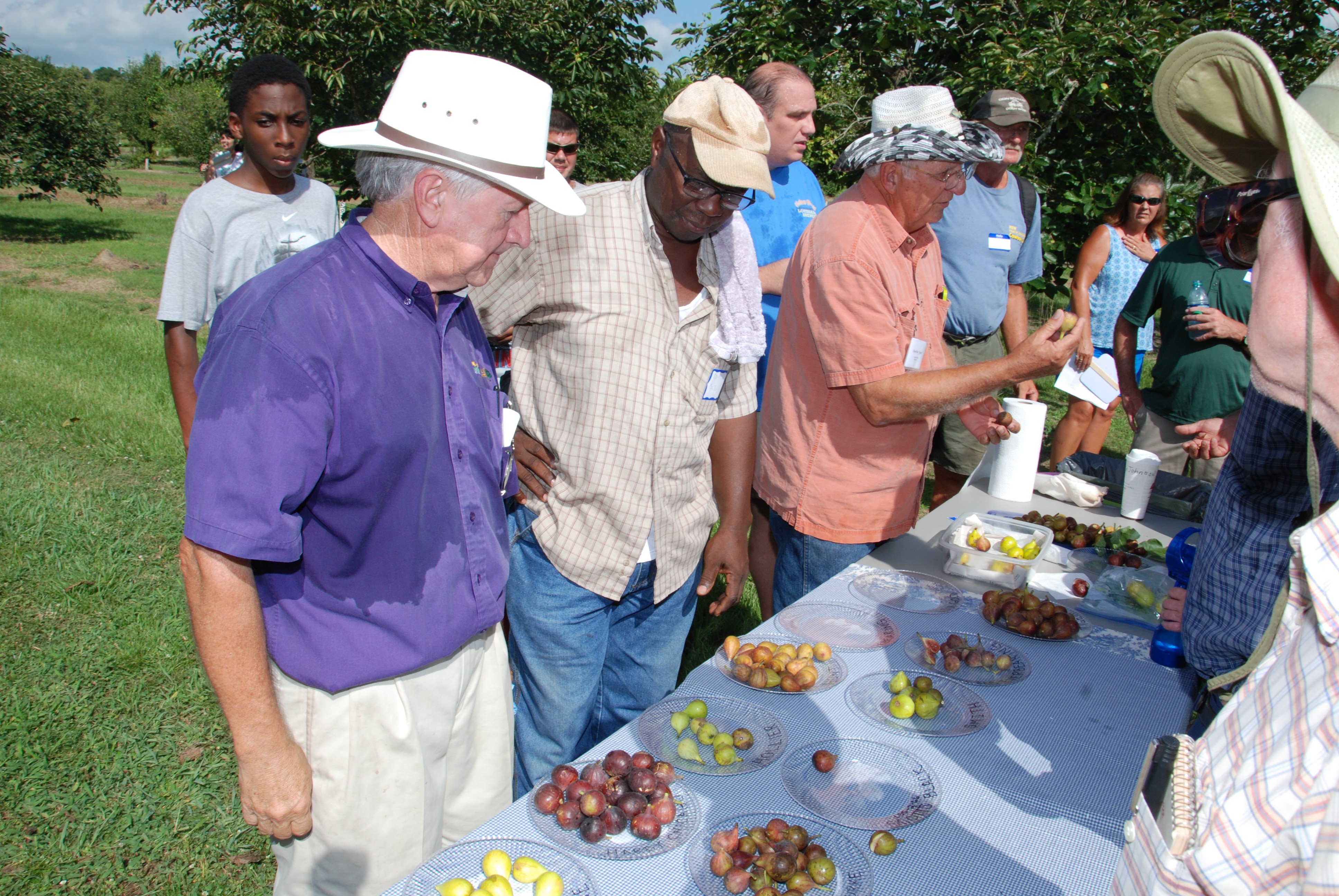 Fig enthusiasts gather for annual field day