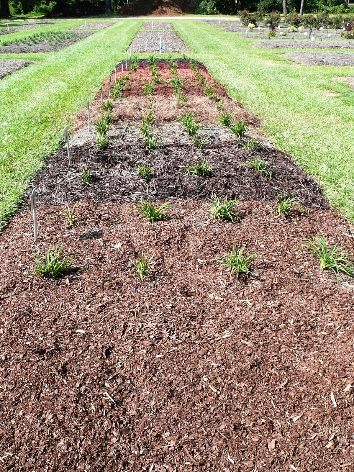 Use landscape mulch correctly