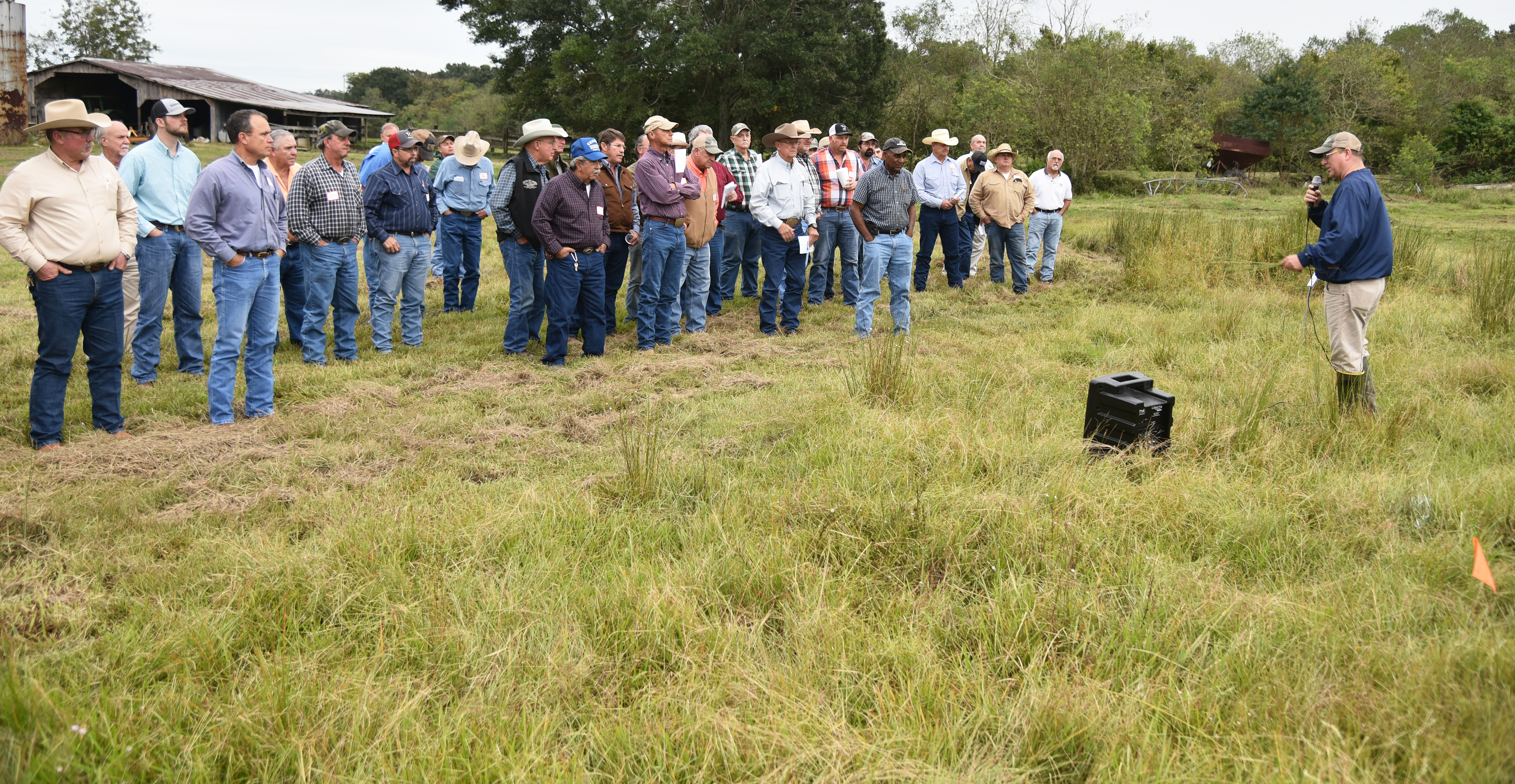 Cattle producers encouraged to adopt traceability systems 