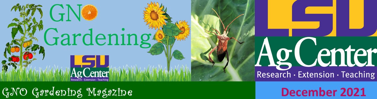 GNO Gardening - December 2021