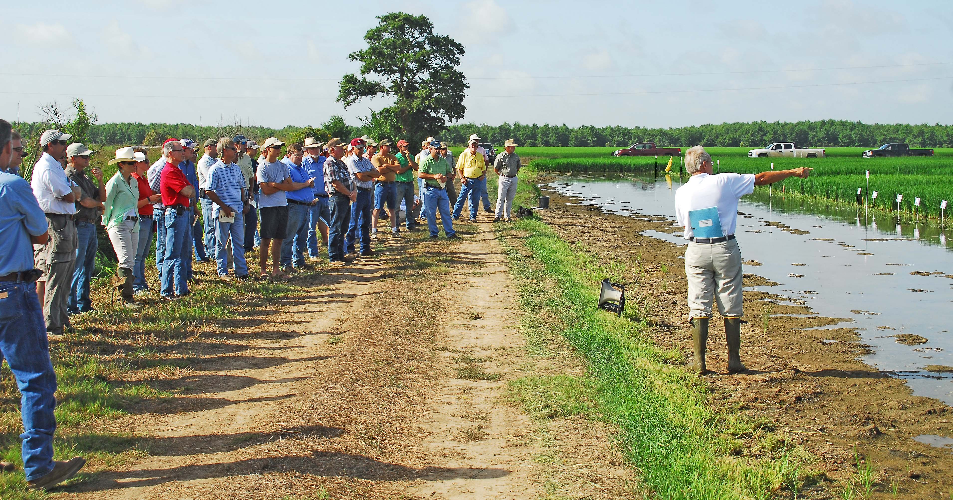 La. farmers facing rice disease as harvest begins