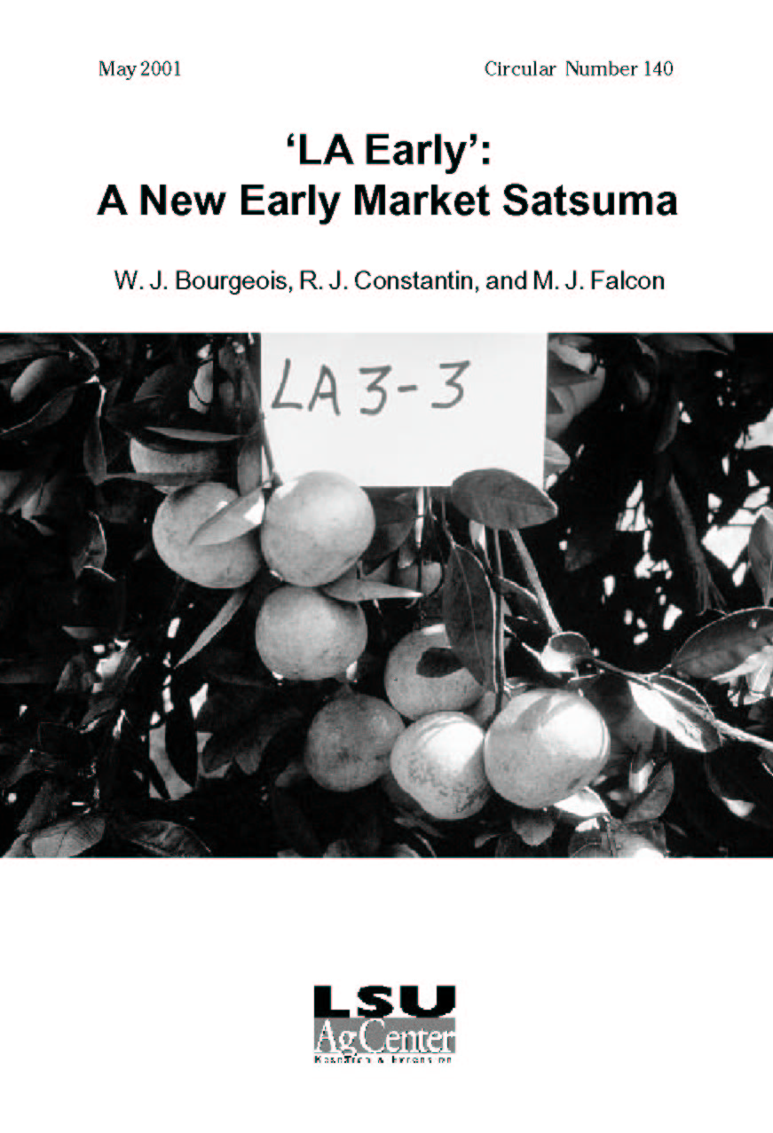 Louisiana Early: A New Early Market Satsuma (May 2001)