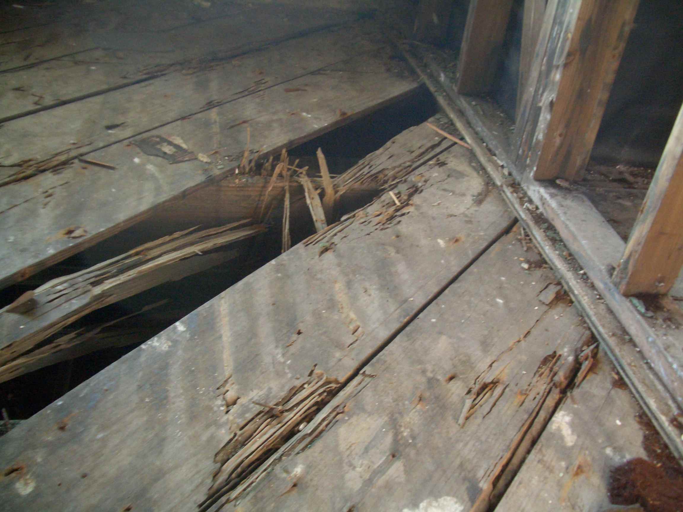 Decay and Termite Damage