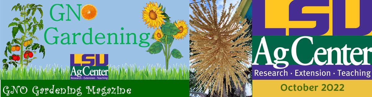 GNO Gardening - October 2022