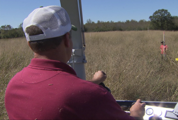 Researchers look at planting switchgrass for biofuel