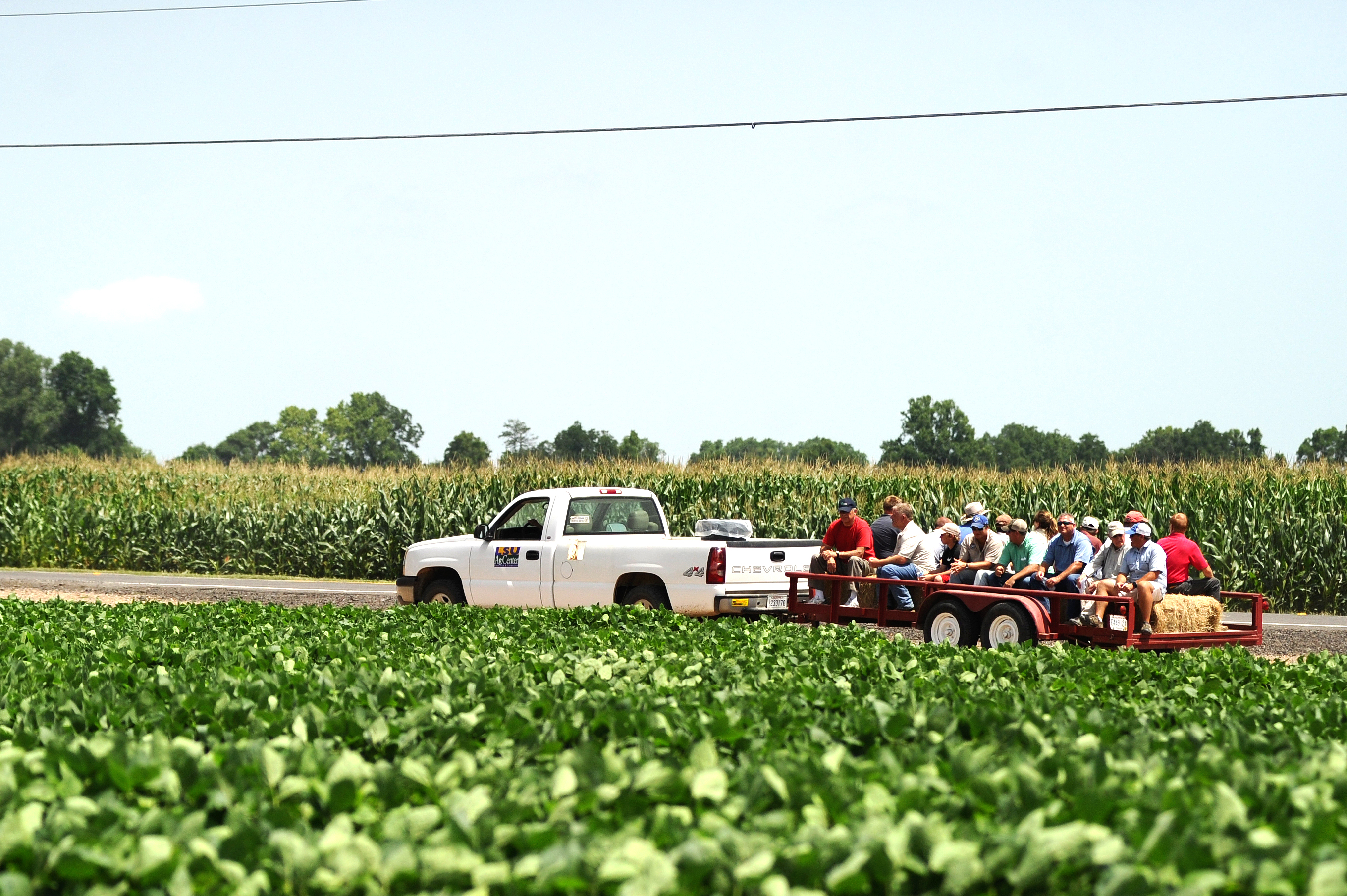 Crop production, pest management field day set for June 16 in St. Joseph 