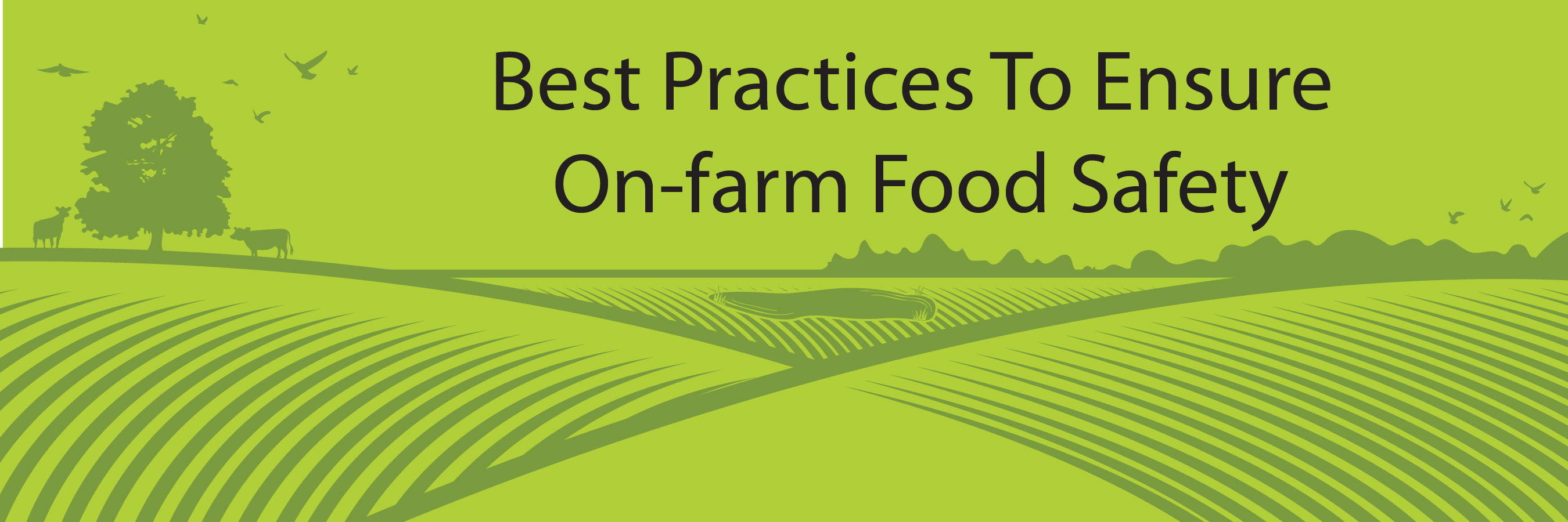 OnFarmFoodSafetyIllustration_CMSHeader-01.jpg thumbnail