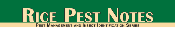 Rice Pest Notes