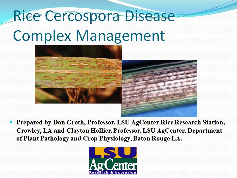 Rice Cercospora Disease Complex Management 2012