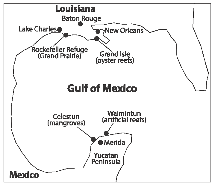 Map of the gulf of Mexico