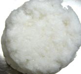 Bagasse