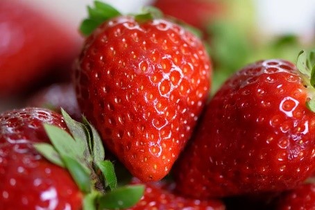 4-H Virtual Recess: Louisiana Strawberries