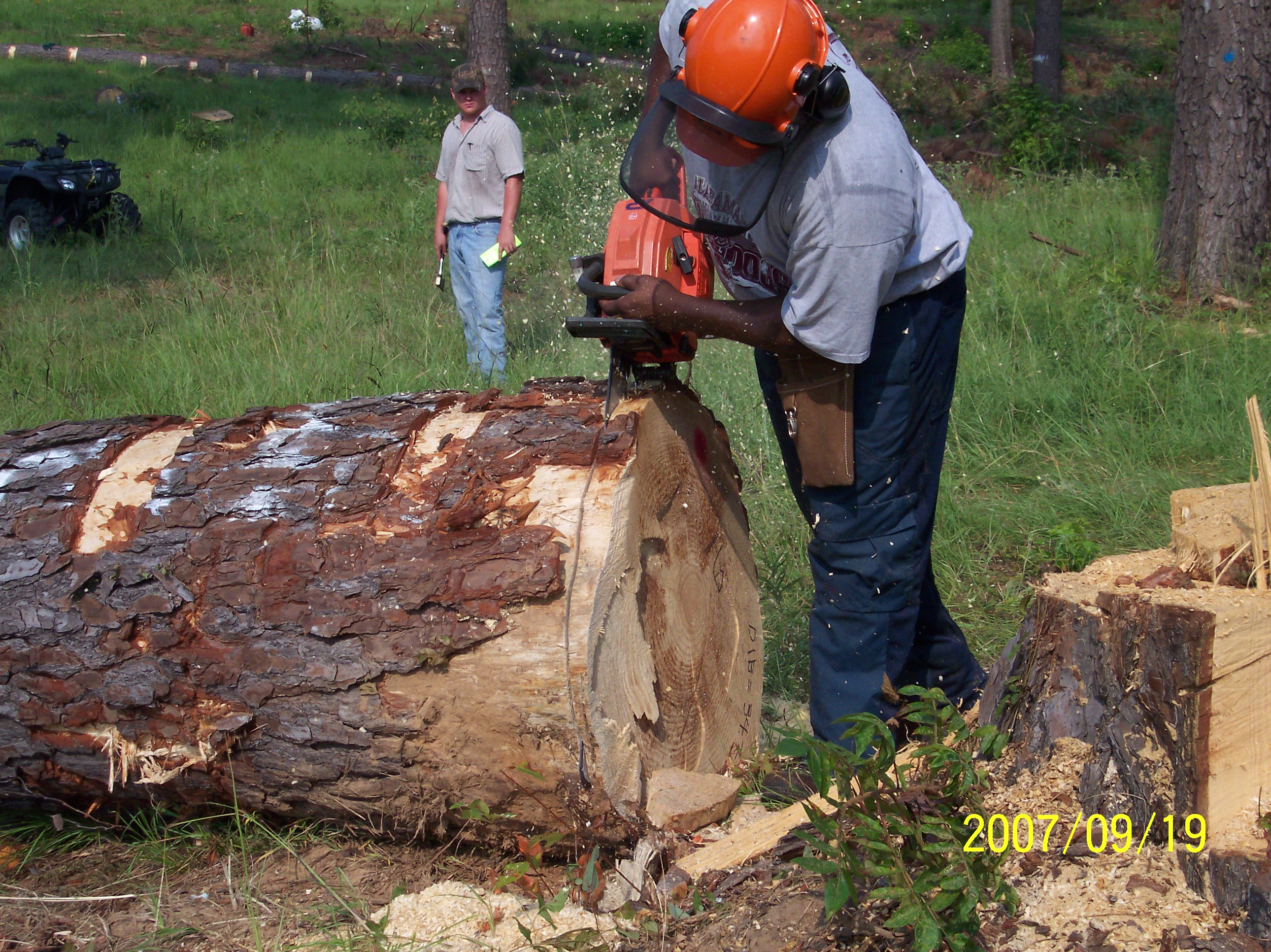 Forestry Research at the Hill Farm: A Heritage of Guiding Forest Management in Louisiana