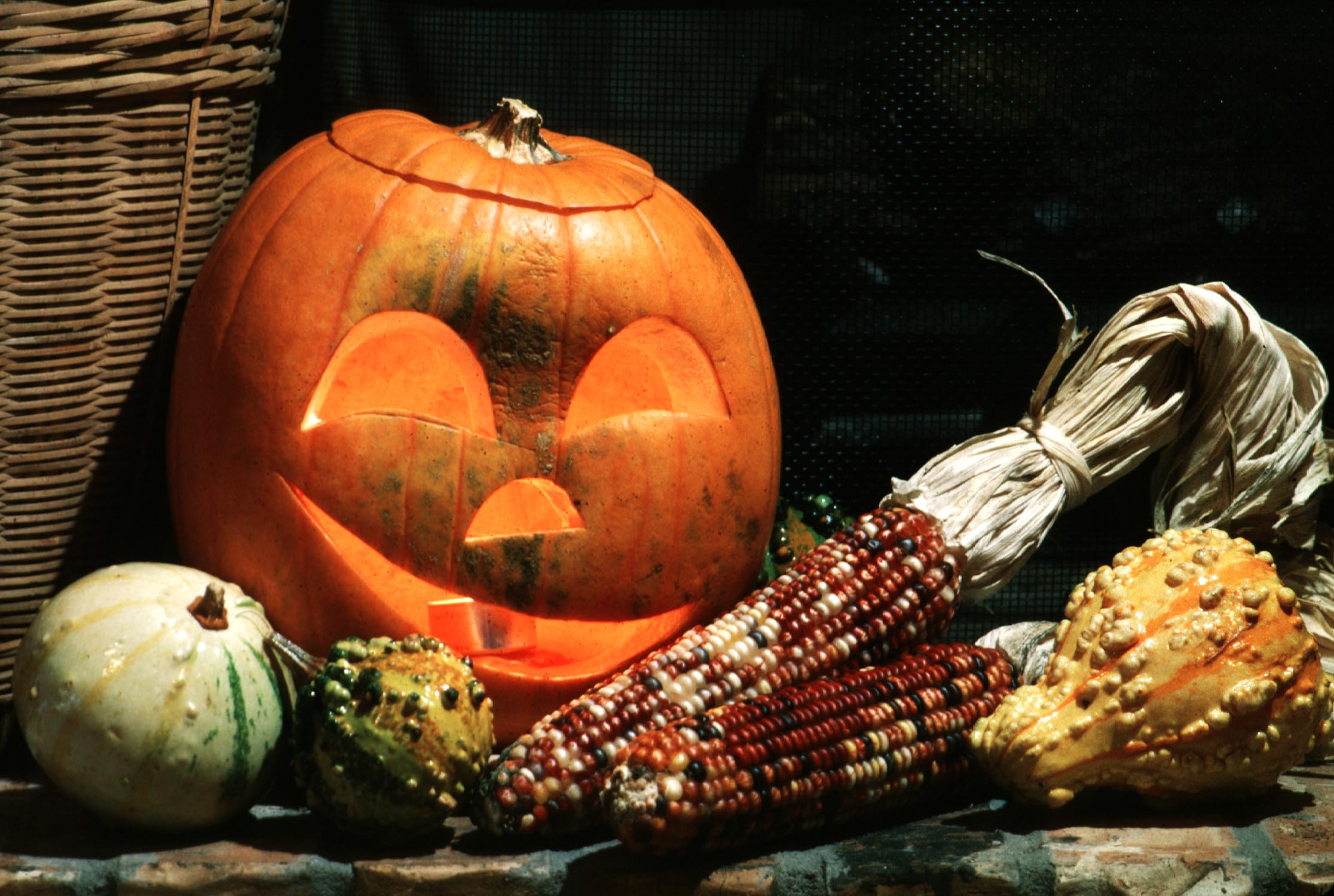 Halloween in the garden