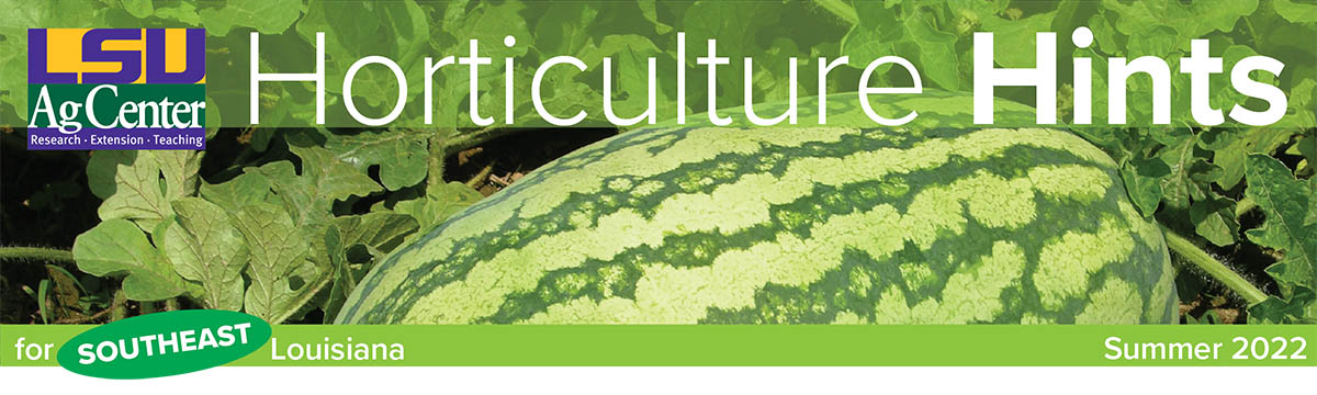 LSU AgCenter Horticulture Hints for Southeast Louisiana Summer 2022 header.