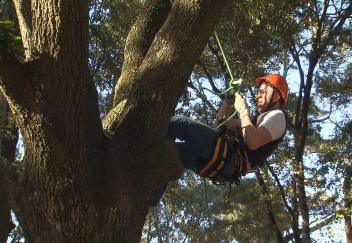 Students learn arborist skills