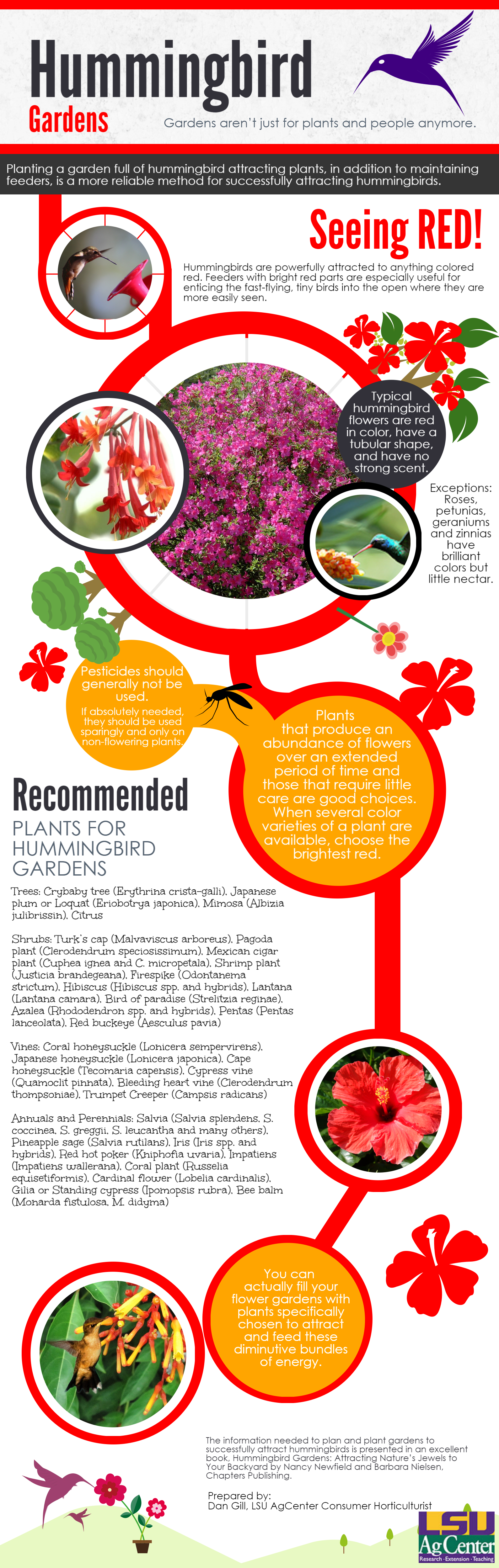 Hummingbird Garden Infographic