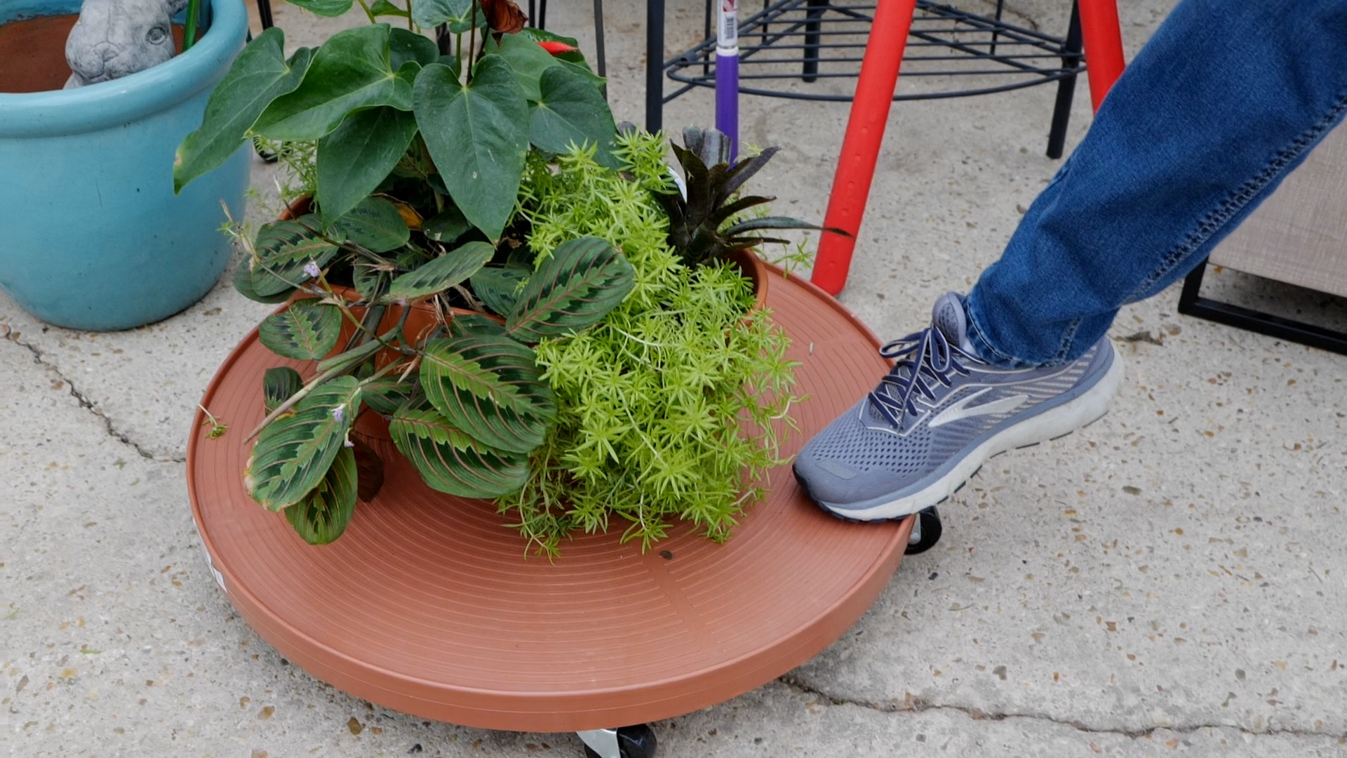 Get It Growing: Think about giving gardening gifts