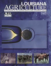 Louisiana Agriculture Magazine Winter 2000