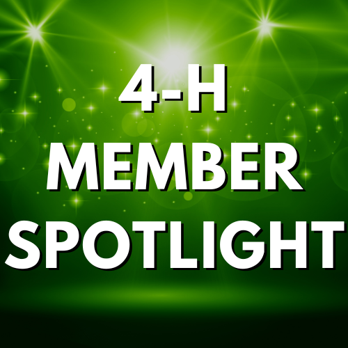 4-H Member Spotlight
