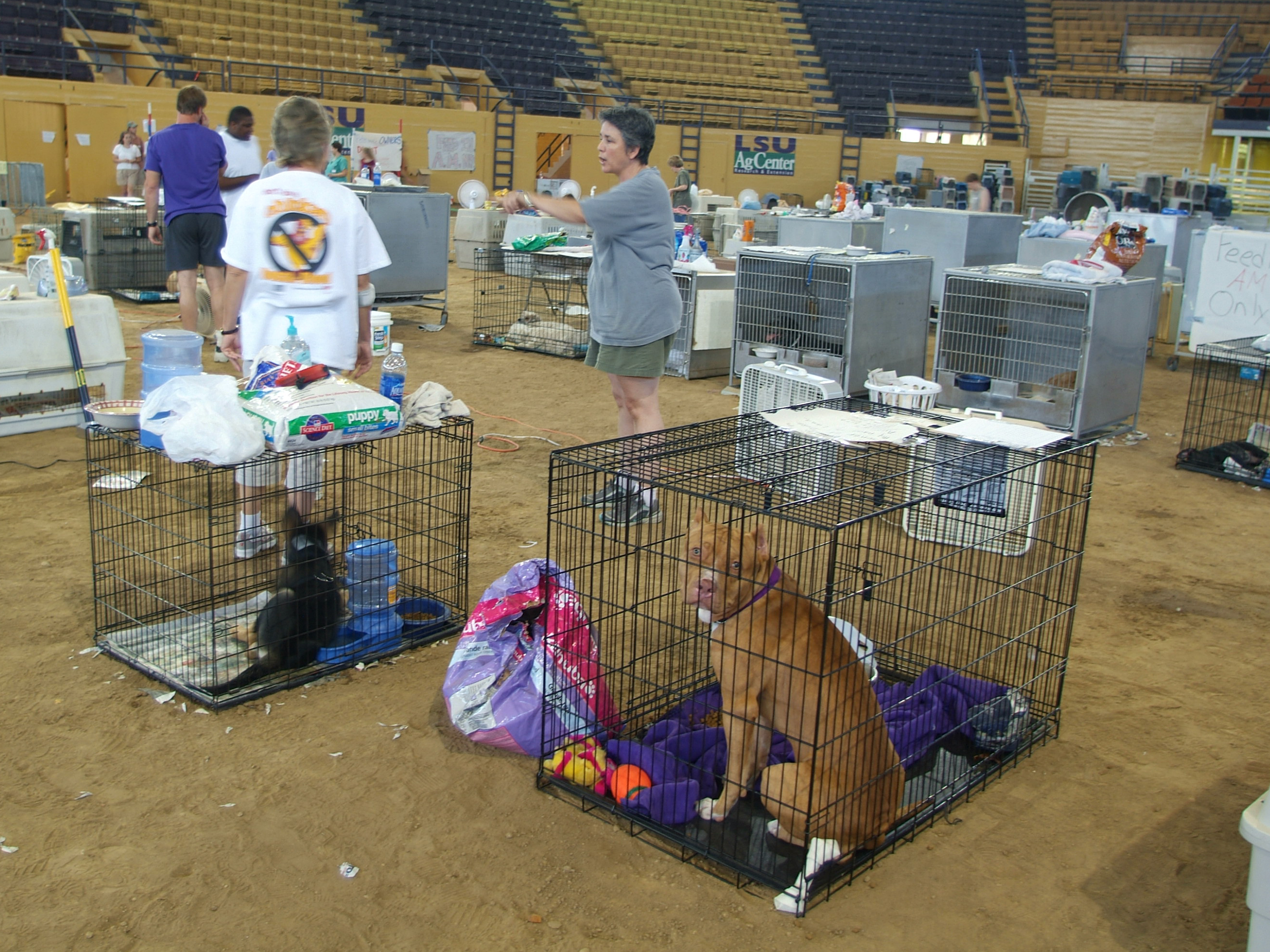 A Look Back: LSU AgCenter responds heriocally to hurricane disasters