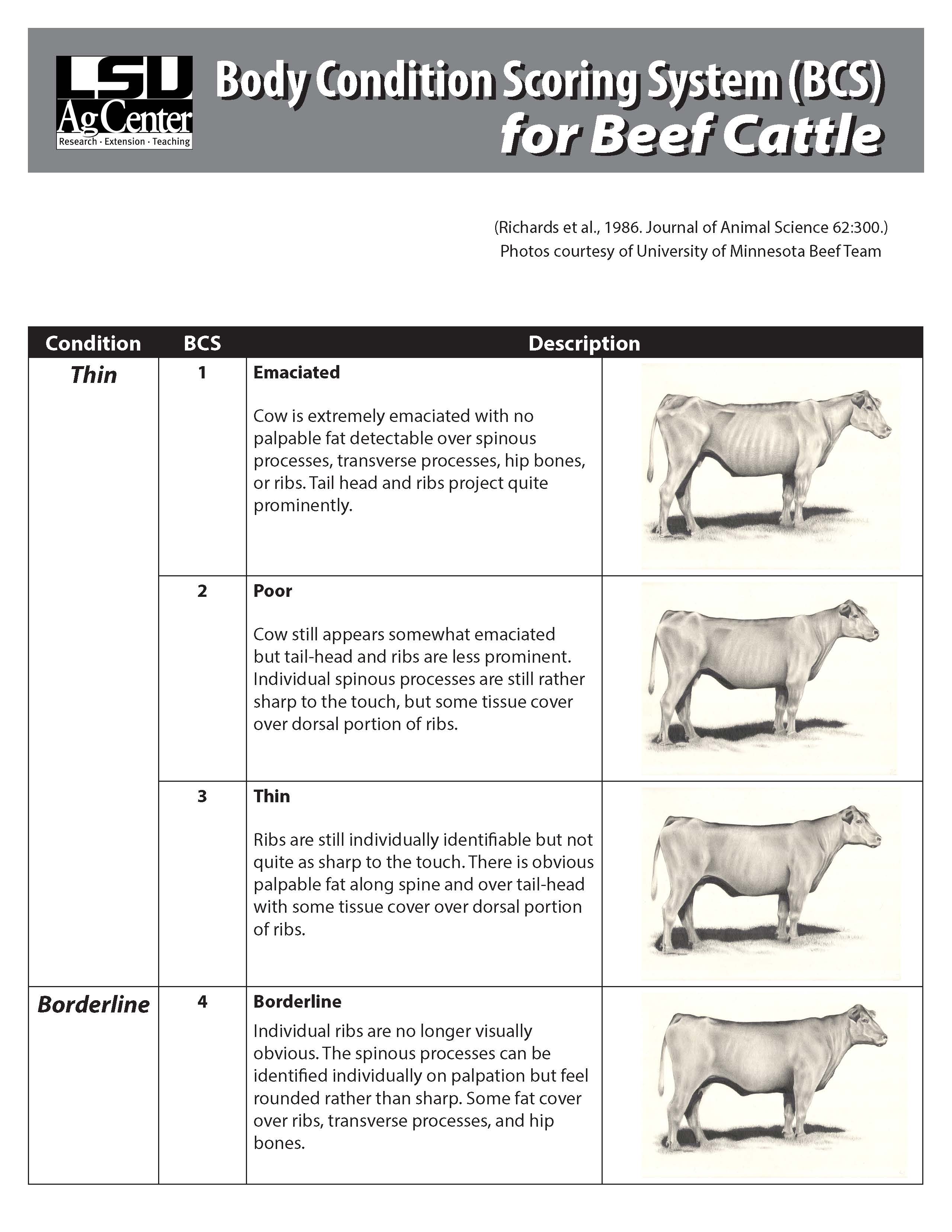 Body Condition Scoring System (BCS) for Beef Cattle