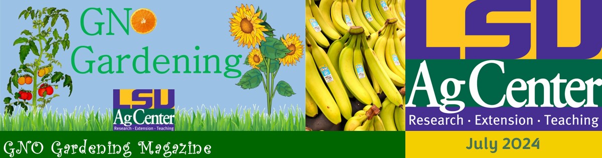 GNO Gardening Magazine - July 2024