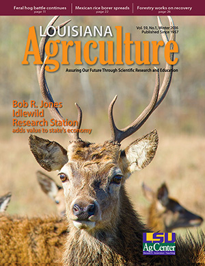Louisiana Agriculture Magazine Winter 2016 - PDF