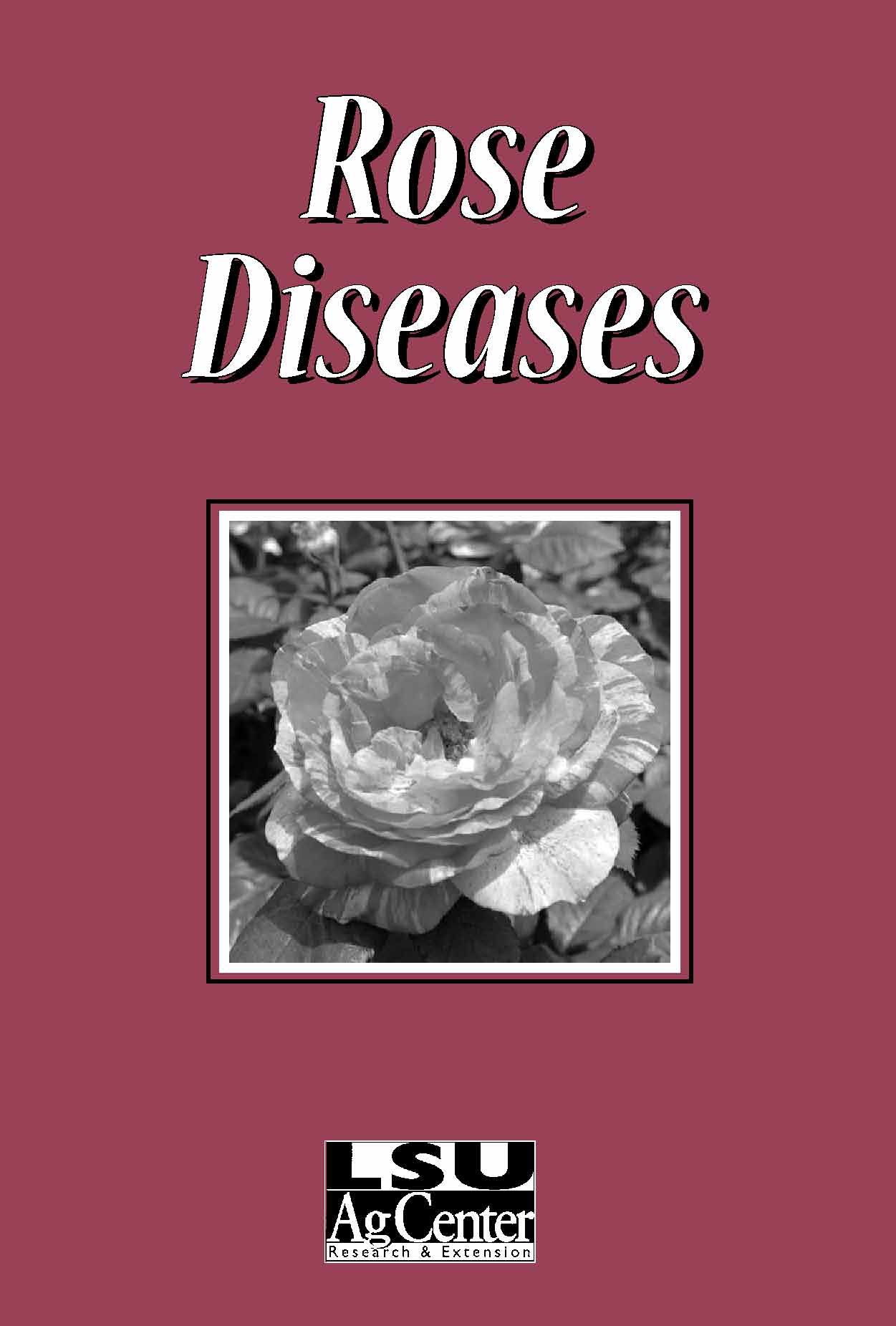 Rose Diseases