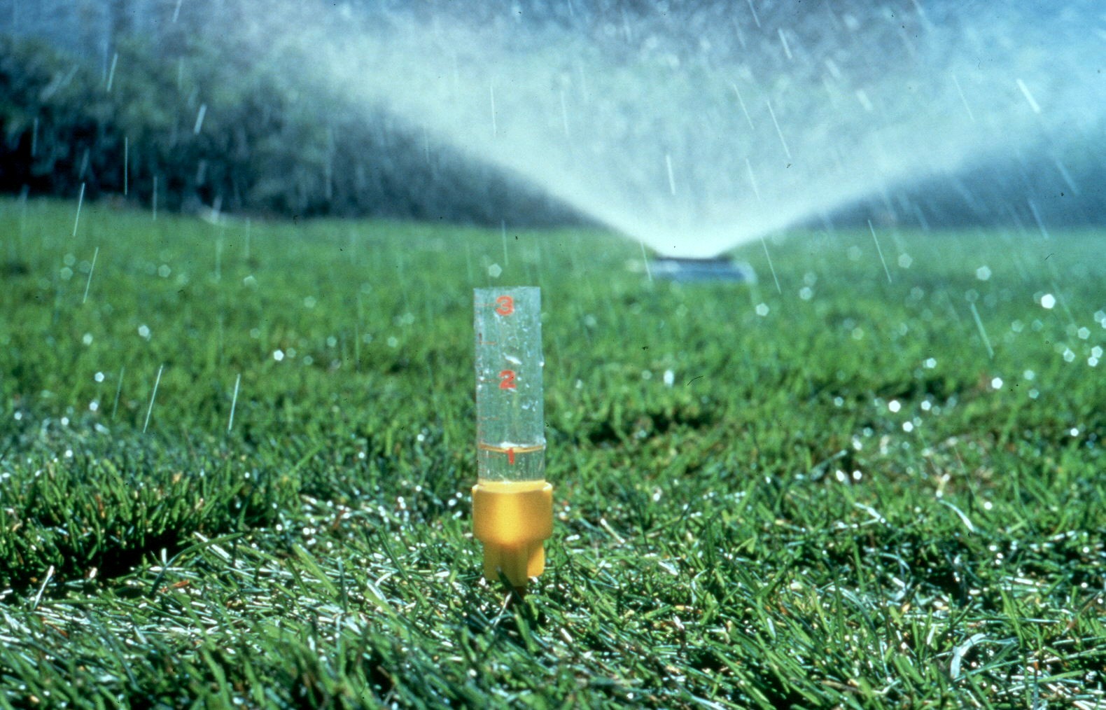 Tune up Landscape Irrigation