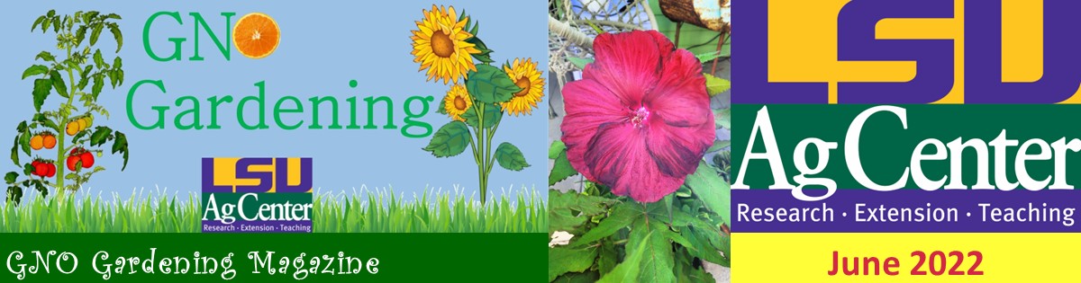 GNO Gardening - June 2022