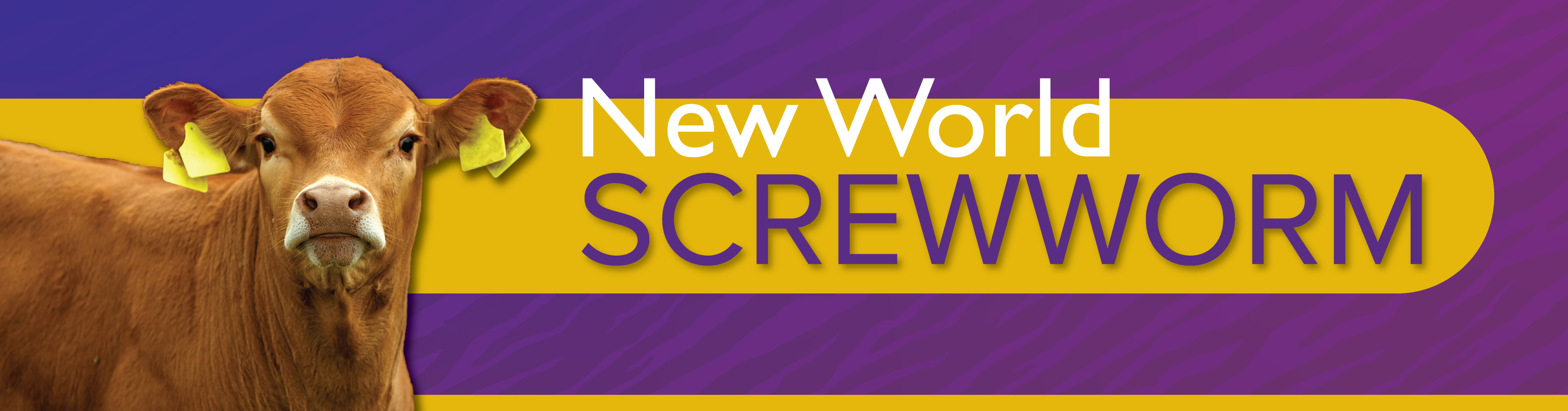 New world screwworm decorative banner.