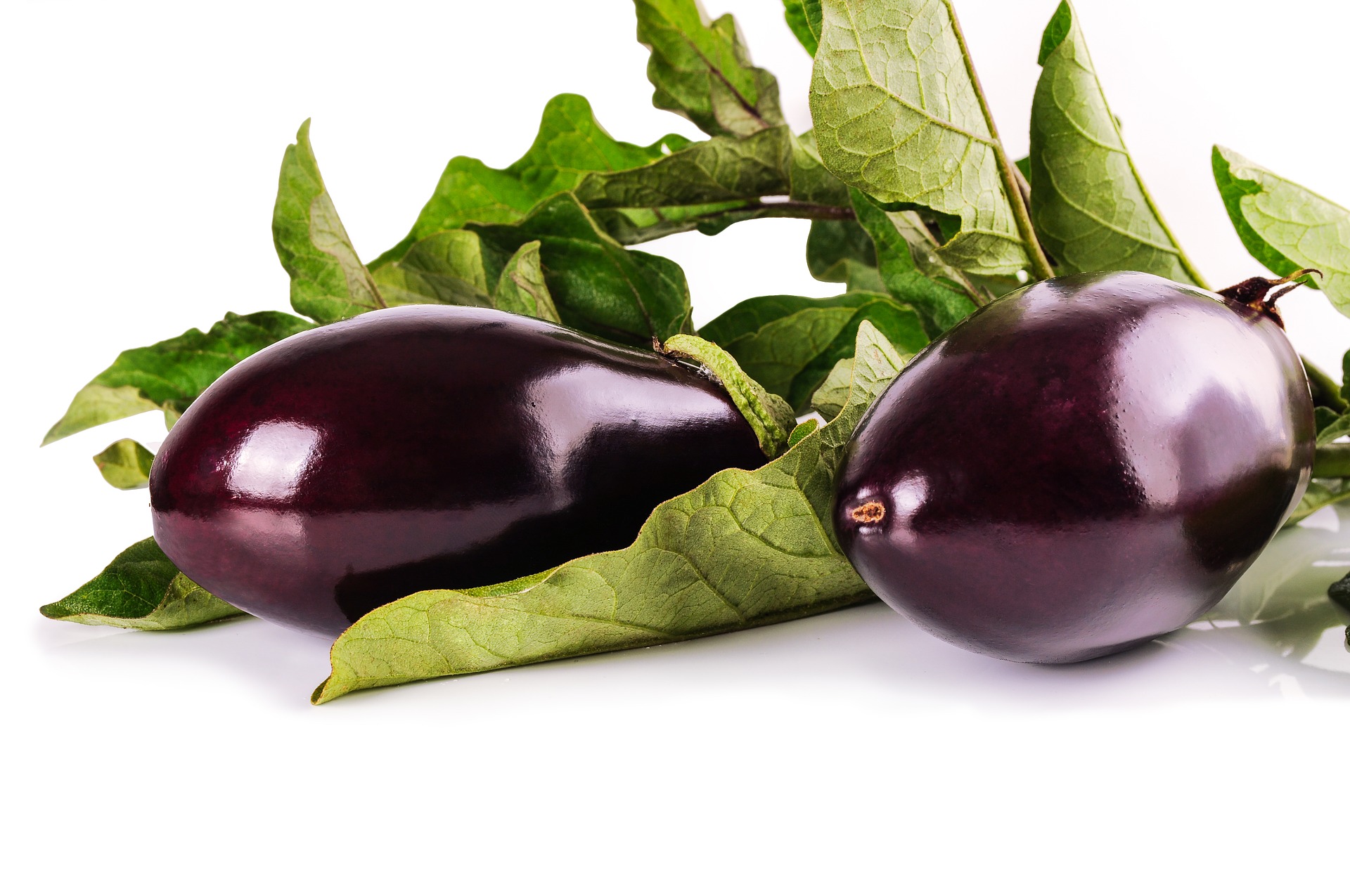 Ready, Set, Grow! May 18, 2022 Harvesting Vegetables