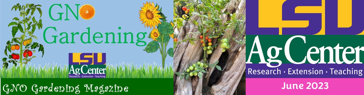 GNO Gardening - June 2023