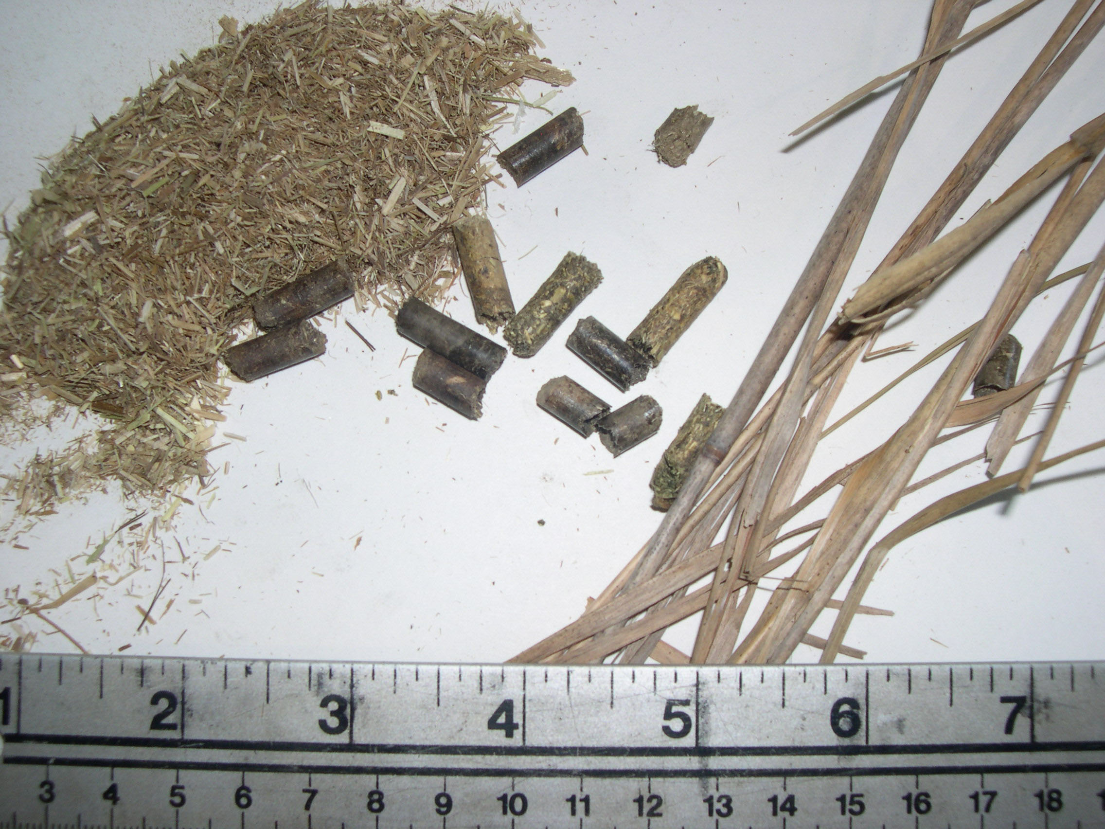 Producing Energy Pellets from Dried Animal Waste and Biomass