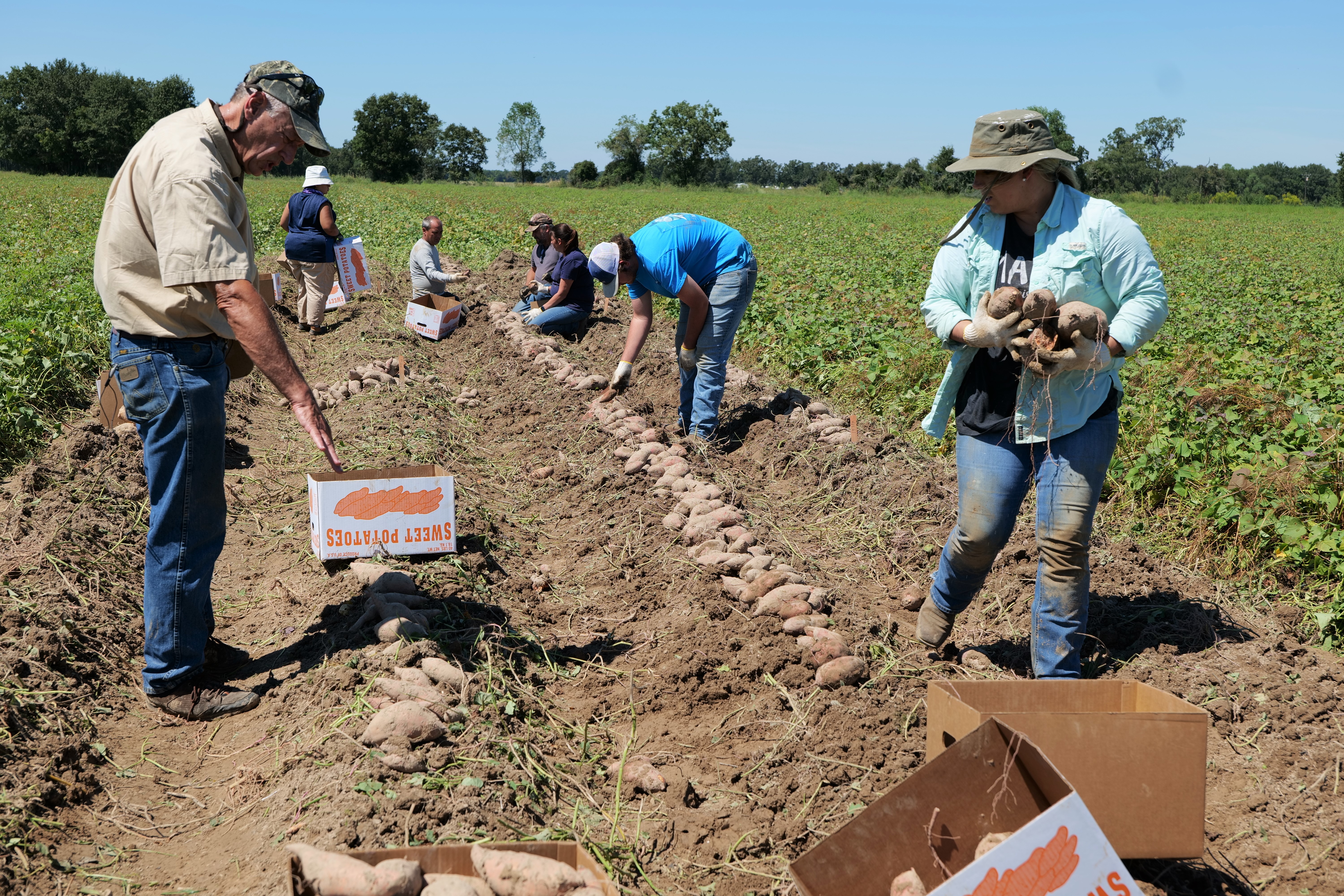 LSU AgCenter News for Fall 2021