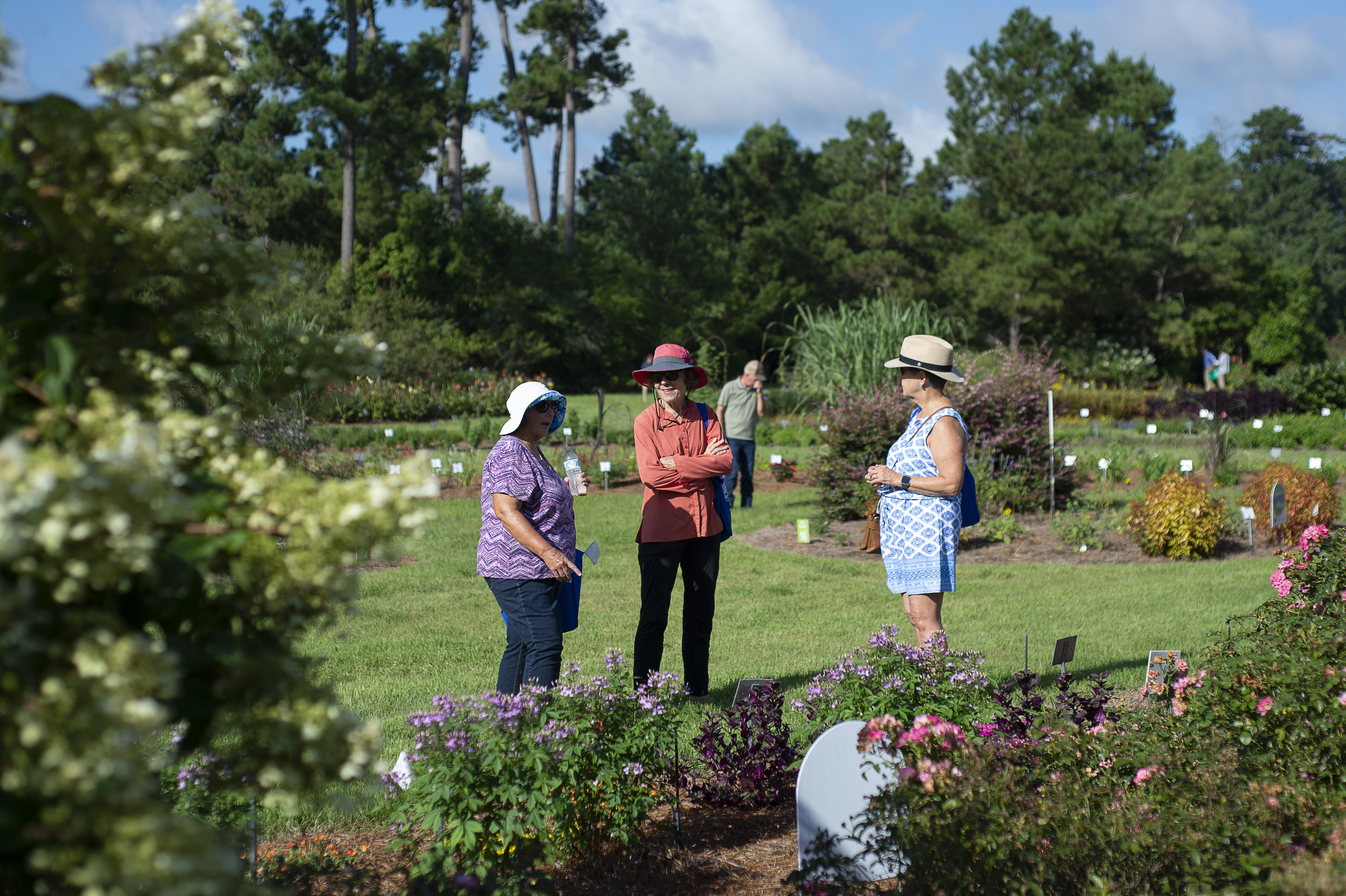 AgCenter Hammond Research Station to host horticulture field day July 18