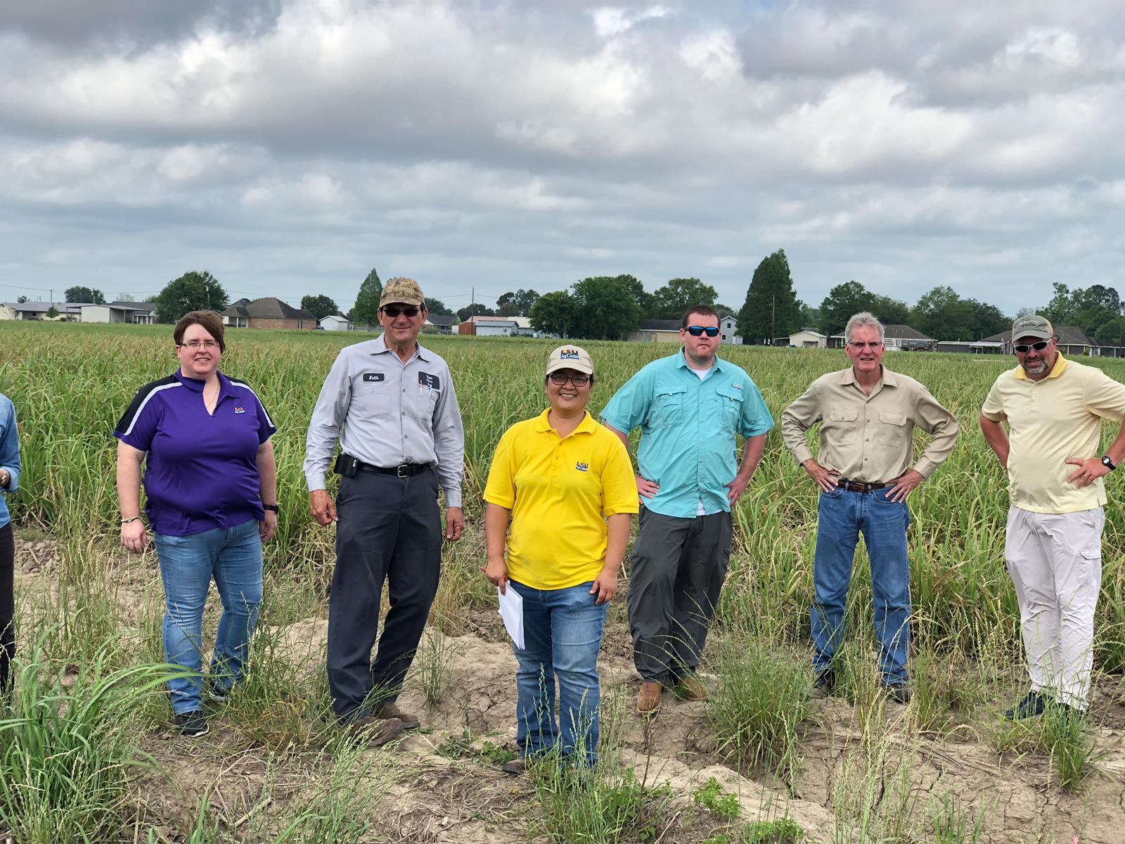 Researchers in field for model farms Taylor Foundation.