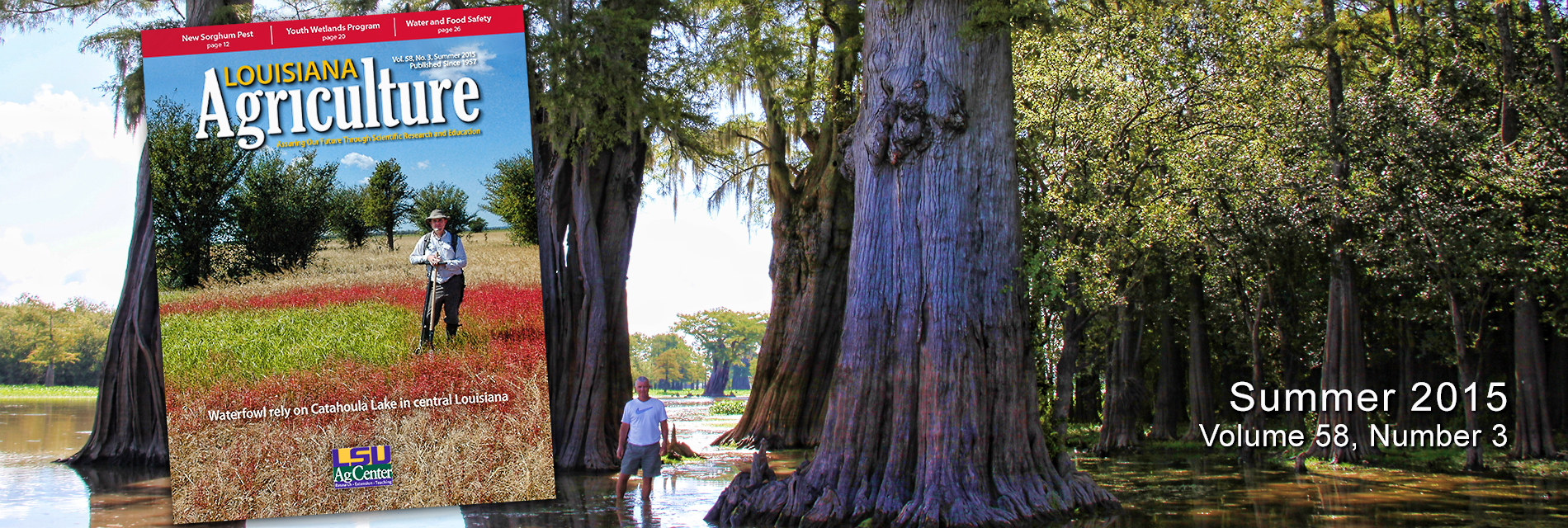 Louisiana Agriculture Summer 2015