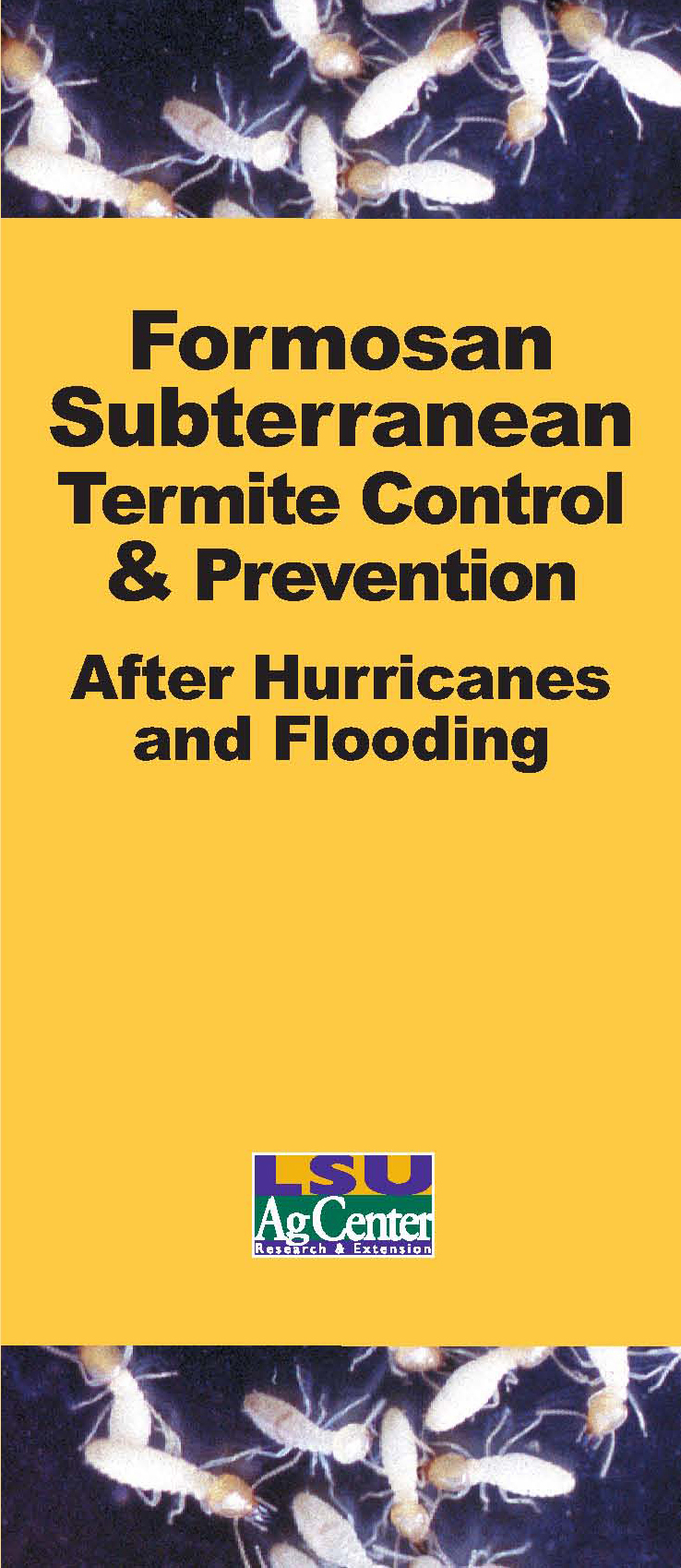 Formosan Subterranean Termite Control & Prevention After Hurricanes and Flooding