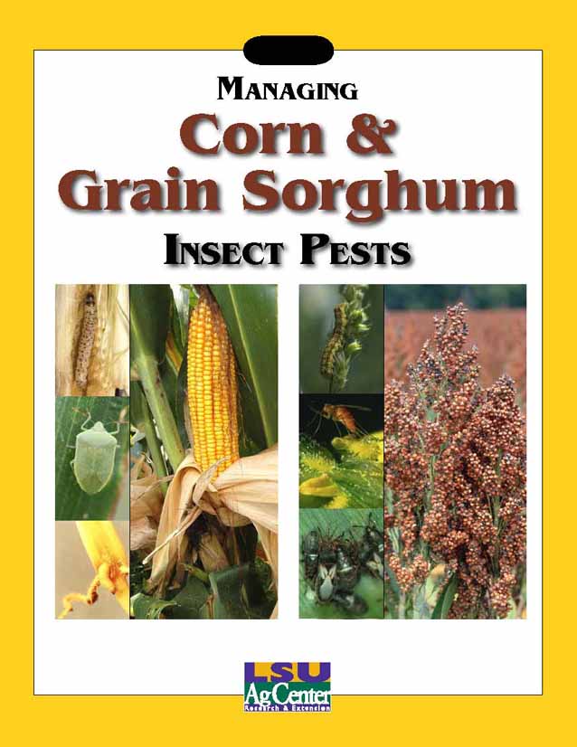 Managing Corn and Grain Sorghum Insect Pests